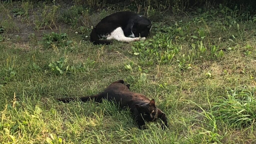 工場、ガレージ